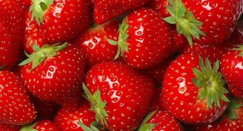 水莓100国产视频,探寻国产影视新高度